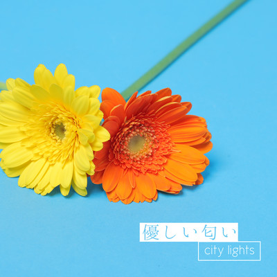 優しい匂いのジャケット写真