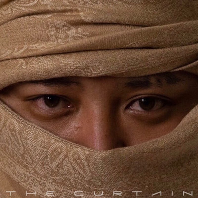 THE CURTAIN Front Cover