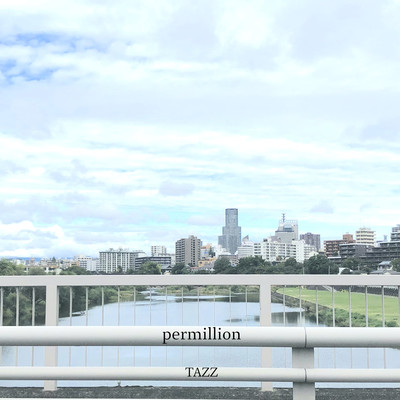 パーミリオンのジャケット写真