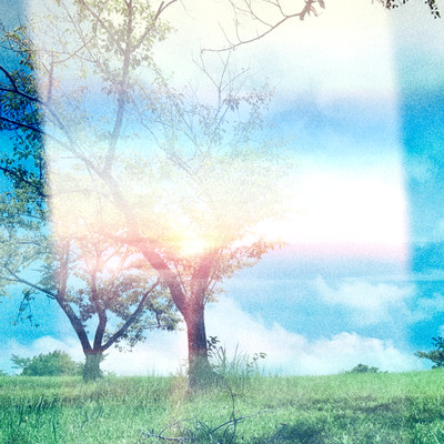 The Stream Front Cover