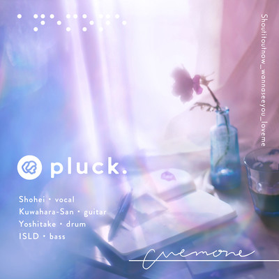 anemone Front Cover