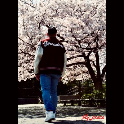 SunLight Front Cover