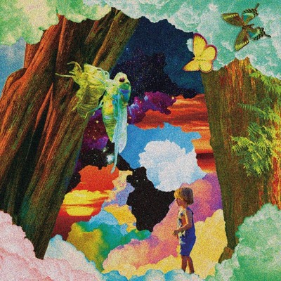 Pupaのジャケット写真