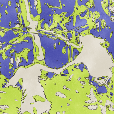 Shape of Breathing Front Cover