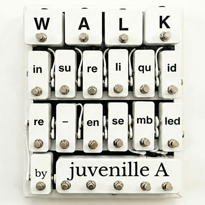 WALK re-ensembled by juvenille A (remix) Front Cover