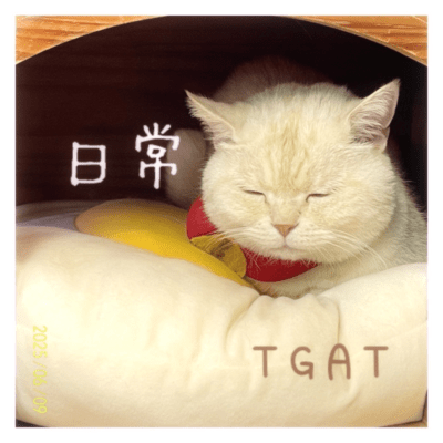 日常のジャケット写真