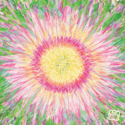 Tea is too hotのジャケット写真