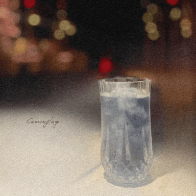 Camouflage Front Cover