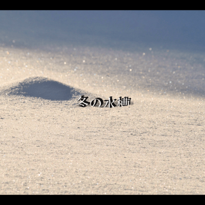 冬の水槽 (feat. VY1V4)のジャケット写真