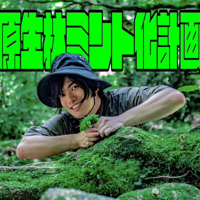 Primeval Forest Mintification Project Front Cover