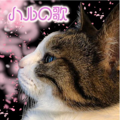 ハルの歌のジャケット写真