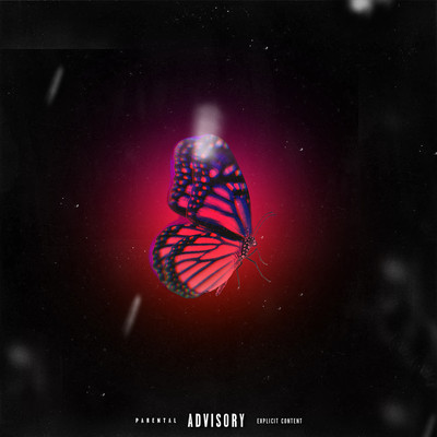 Secret Night Front Cover