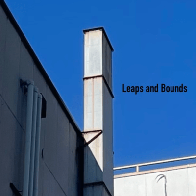 Leaps and Bounds Front Cover