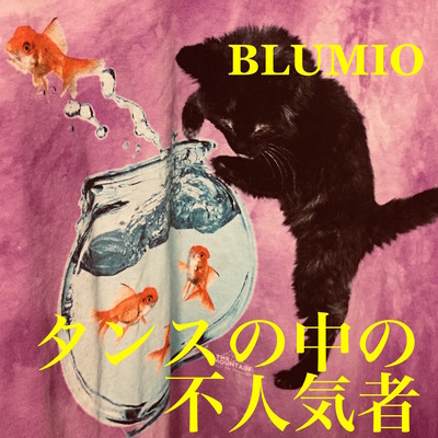 Tansu No Nakano Funinkimono Front Cover
