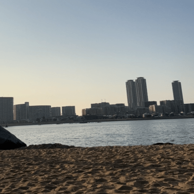 Think on the beach Front Cover