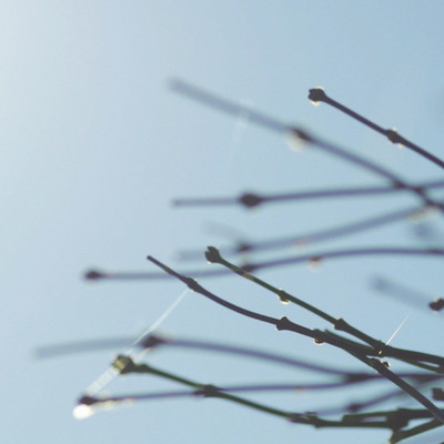 浅間温泉望郷の歌のジャケット写真