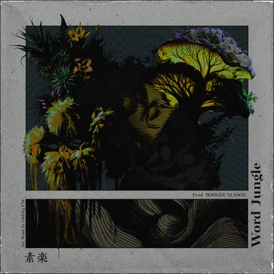 Word Jungle Front Cover