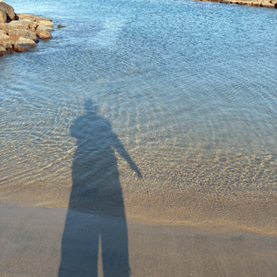 生存報告のジャケット写真