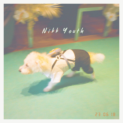 帆船のジャケット写真