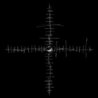 Nullusのジャケット写真