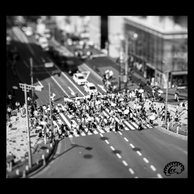 Rashii (feat. Kazuki Ookawa) Front Cover