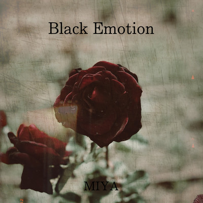 Black Emotion Front Cover