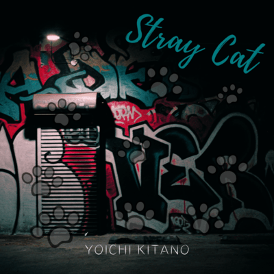 Stray Cat Front Cover