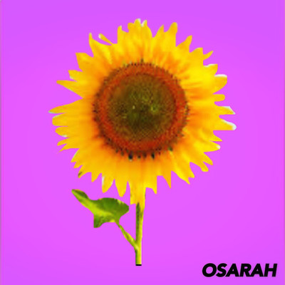 SAFFRON AND SUNFLOWER (feat. AKAME) Front Cover