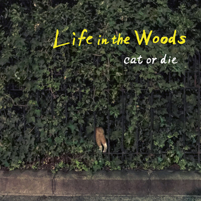 Life in the Woods Front Cover
