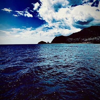 THE FIRST CROWのジャケット写真