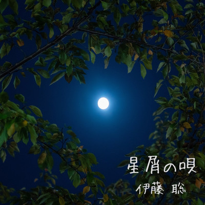 Song of the Stardust Front Cover