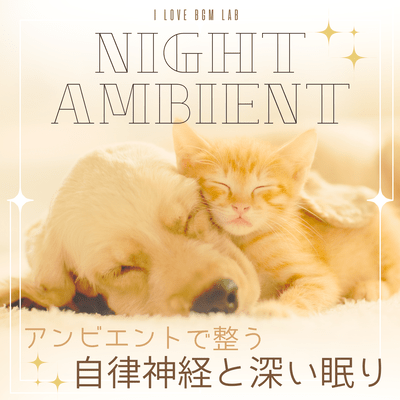 NIGHT AMBIENT Ambient to regulate the autonomic nervous system and promote deep sleep Front Cover