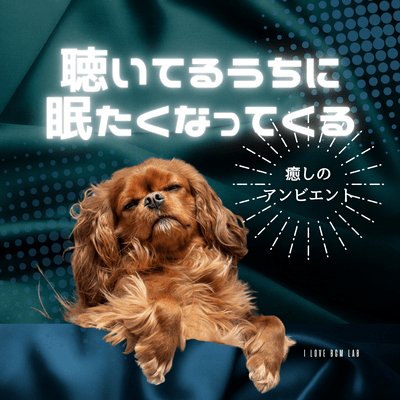 Relaxing ambient sounds that will make you sleepy as you listen. Front Cover