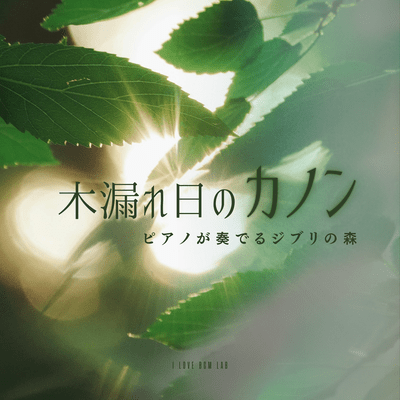 Canon of Sunlight Filtering Through the Trees - A Ghibli Forest Played on Piano Front Cover