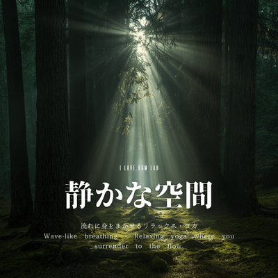 A Quiet Space - Ambient Music to Gently Balance the Autonomic Nervous System Front Cover