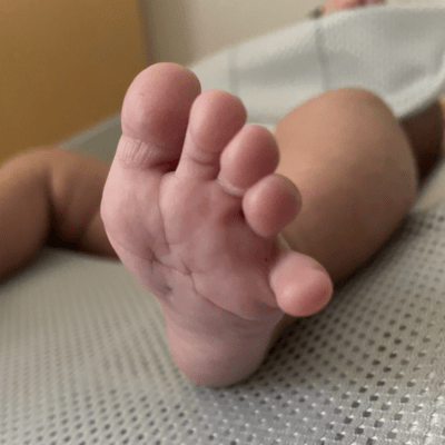 こなつのジャケット写真