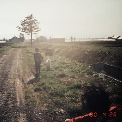 まだもうのジャケット写真