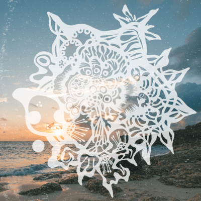 NORTH NODE Front Cover