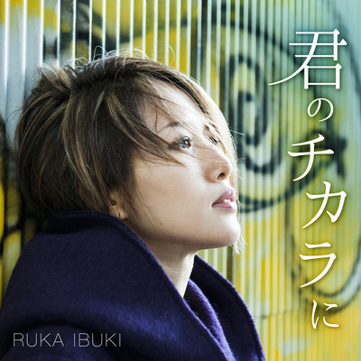 bolsterer Front Cover