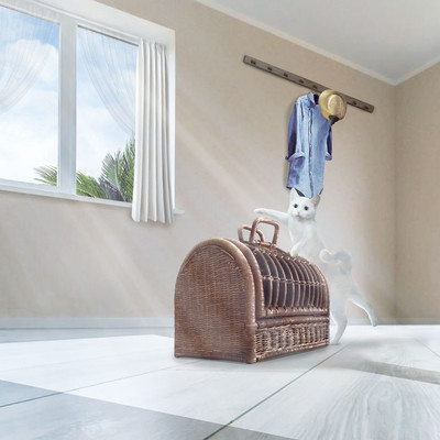 The Cat mood Front Cover