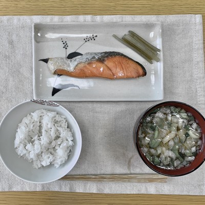 Salmon Presenter Front Cover