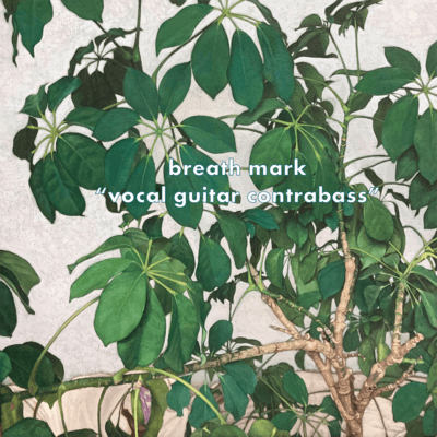 vocal guitar contrabass Front Cover