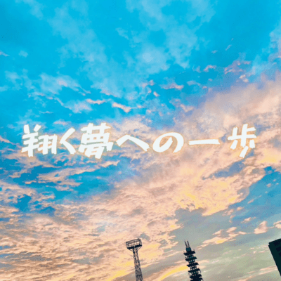 A step towards a soaring dream Front Cover