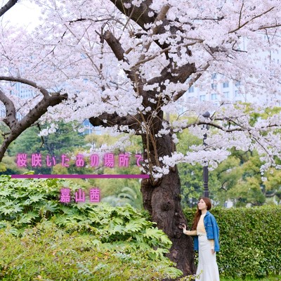 At that place where the cherry blossoms bloomed Front Cover