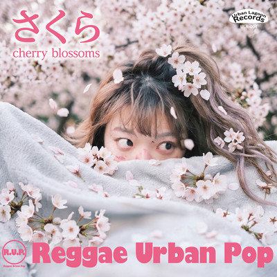 cherry blossoms Front Cover