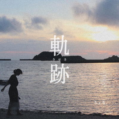 the tracks Front Cover