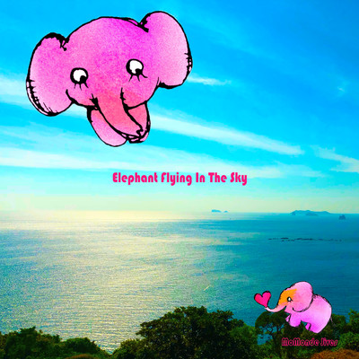 Elephant Flying In The Sky Front Cover
