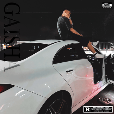 GAISHAのジャケット写真