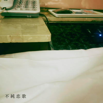 不純恋歌のジャケット写真