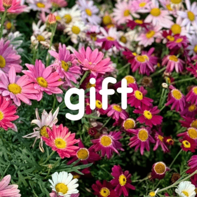 giftのジャケット写真